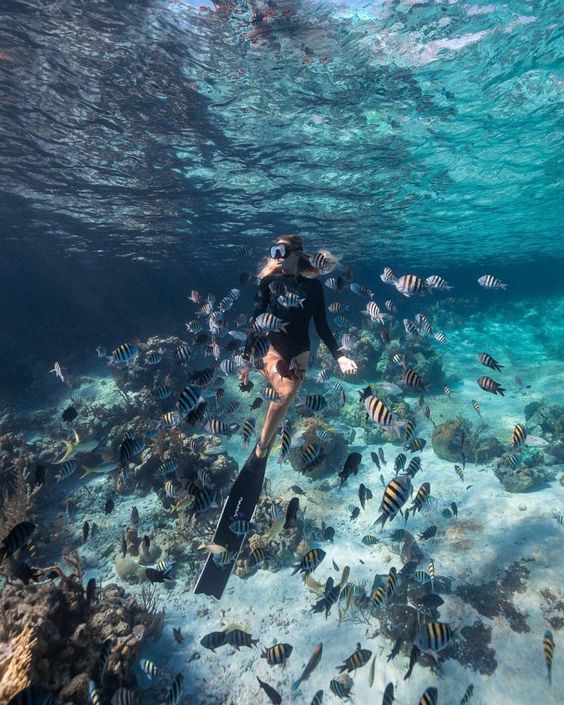 Une Expérience Extraordinaire Plongée à Bali