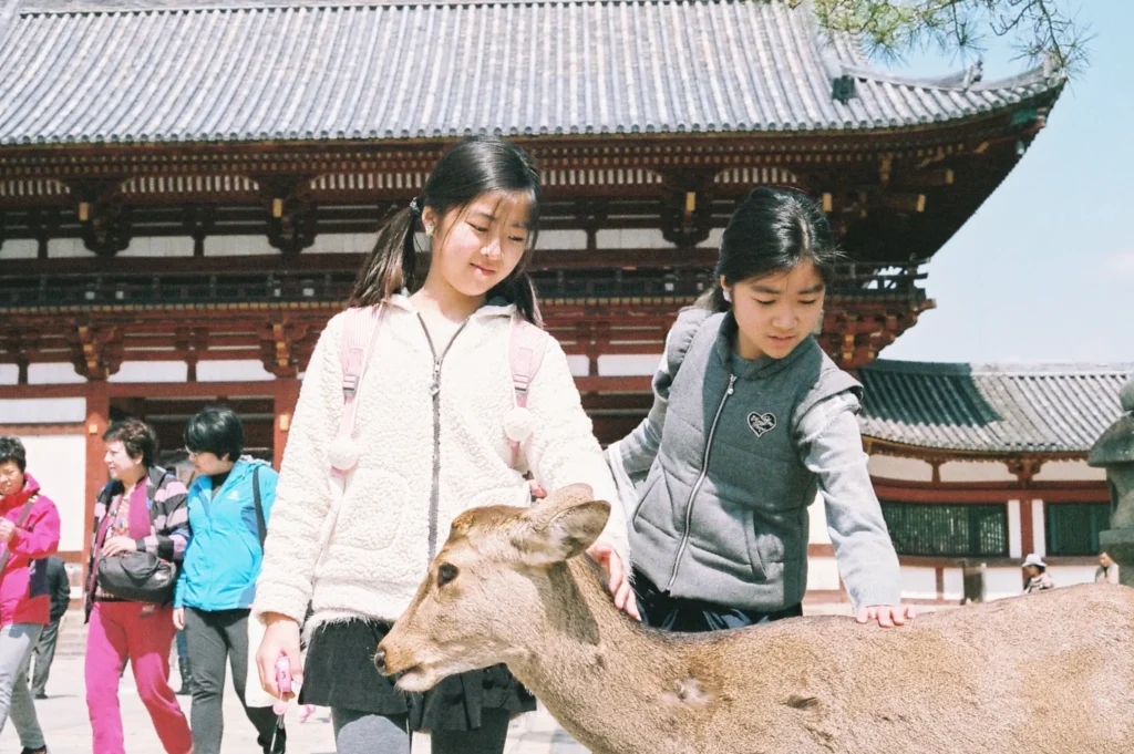 family vacation japan